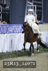 25R13_14071 thumbnail