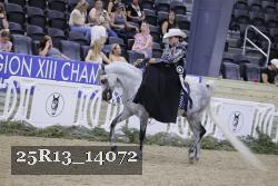 25R13_14072 thumbnail