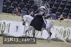 25R13_14075 thumbnail