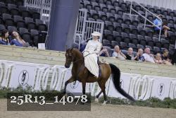 25R13_14078 thumbnail