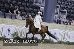25R13_14079 thumbnail
