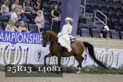 25R13_14081 thumbnail