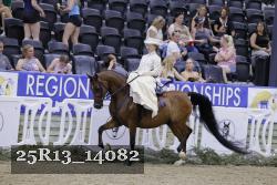 25R13_14082 thumbnail