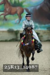 25R13_14087 thumbnail