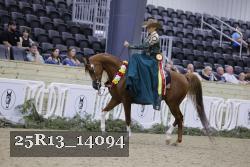 25R13_14094 thumbnail