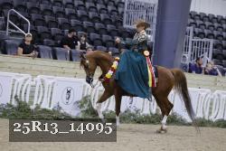 25R13_14095 thumbnail