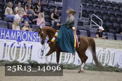 25R13_14096 thumbnail