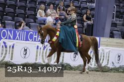 25R13_14097 thumbnail