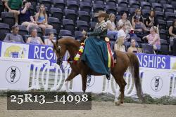 25R13_14098 thumbnail
