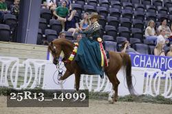25R13_14099 thumbnail