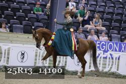 25R13_14100 thumbnail