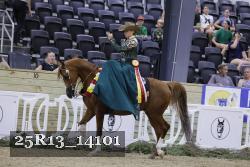 25R13_14101 thumbnail