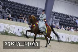 25R13_14103 thumbnail
