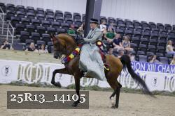 25R13_14105 thumbnail