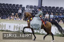 25R13_14107 thumbnail