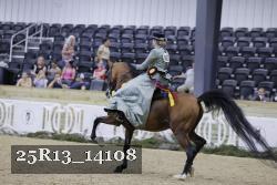 25R13_14108 thumbnail