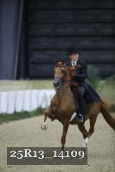 25R13_14109 thumbnail