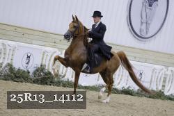 25R13_14112 thumbnail