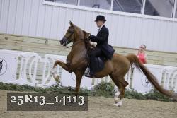 25R13_14113 thumbnail