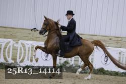 25R13_14114 thumbnail