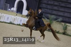 25R13_14119 thumbnail