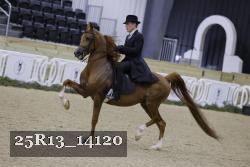 25R13_14120 thumbnail
