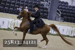 25R13_14121 thumbnail