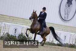 25R13_14123 thumbnail