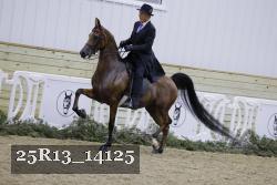 25R13_14125 thumbnail