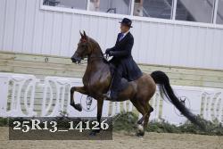 25R13_14126 thumbnail