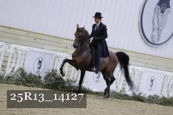 25R13_14127 thumbnail