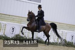 25R13_14128 thumbnail