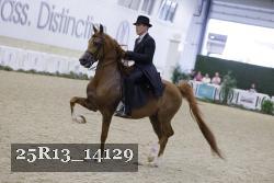 25R13_14129 thumbnail