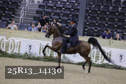 25R13_14130 thumbnail