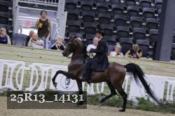 25R13_14131 thumbnail