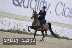 25R13_14132 thumbnail