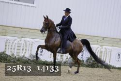 25R13_14133 thumbnail