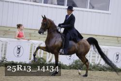 25R13_14134 thumbnail