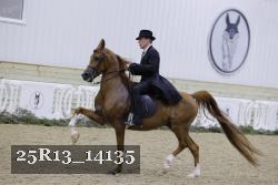 25R13_14135 thumbnail