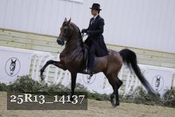 25R13_14137 thumbnail