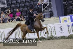 25R13_14138 thumbnail