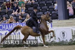 25R13_14139 thumbnail