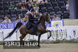25R13_14140 thumbnail