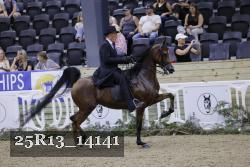 25R13_14141 thumbnail