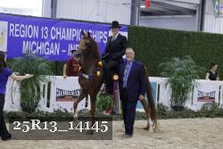 25R13_14145 thumbnail