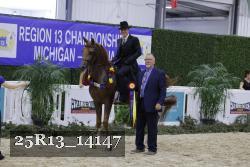 25R13_14147 thumbnail