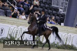 25R13_14151 thumbnail