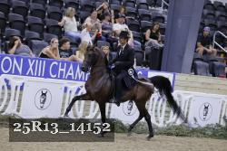 25R13_14152 thumbnail