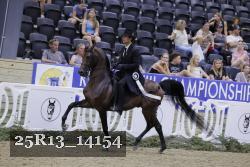 25R13_14154 thumbnail