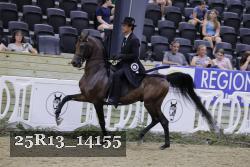 25R13_14155 thumbnail
